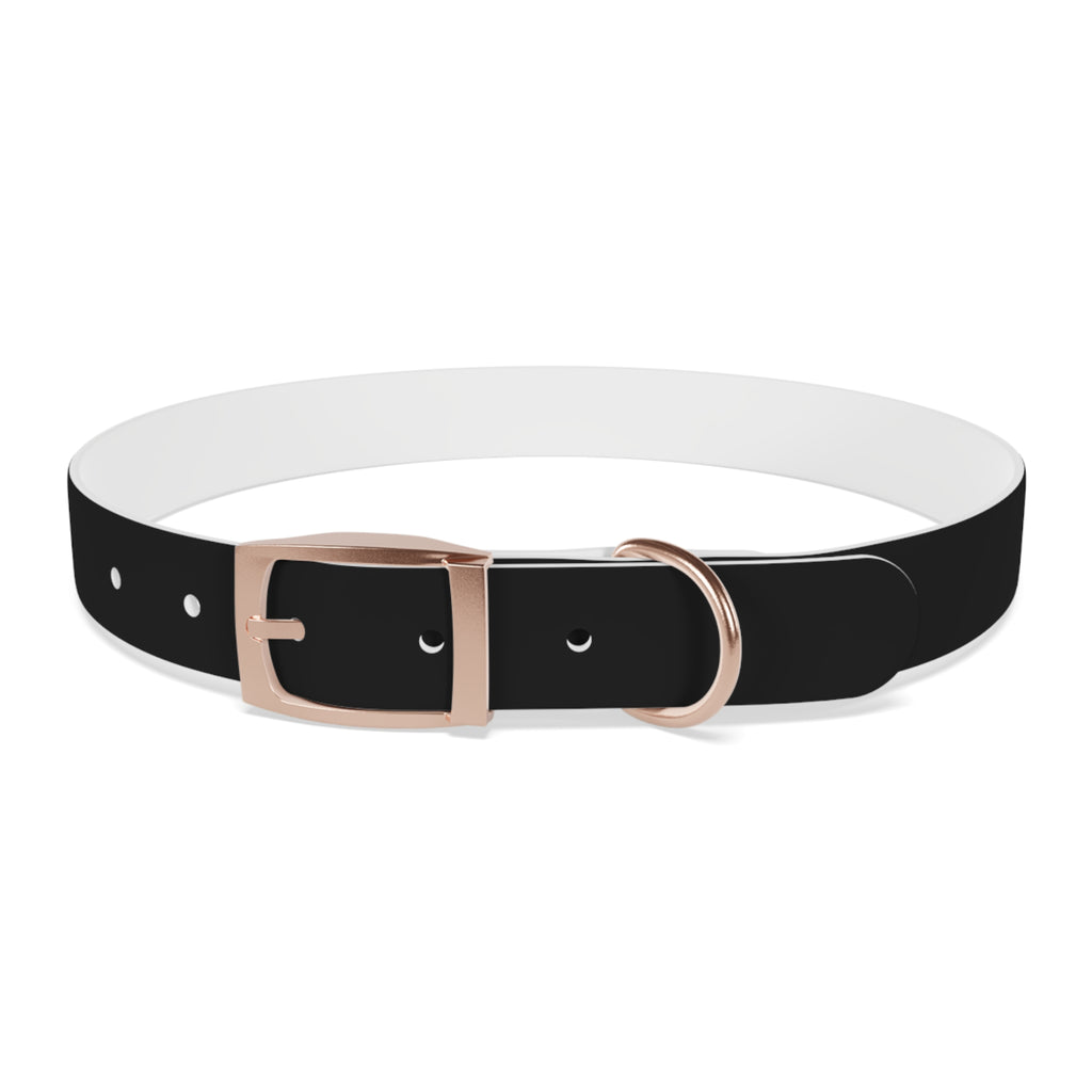 Stylish Dog Collar with Fun 'Freak' Design