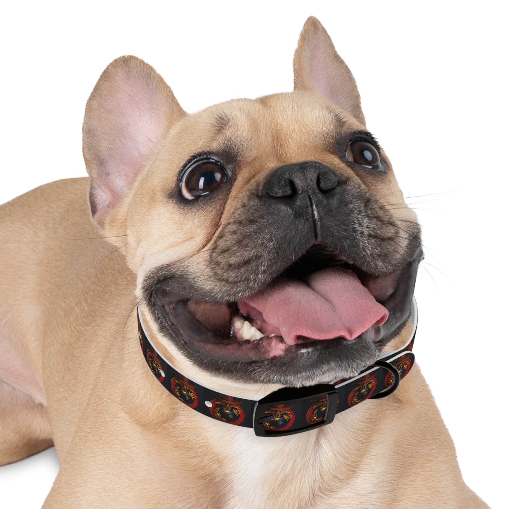 Stylish Pet Collar with Playful Design