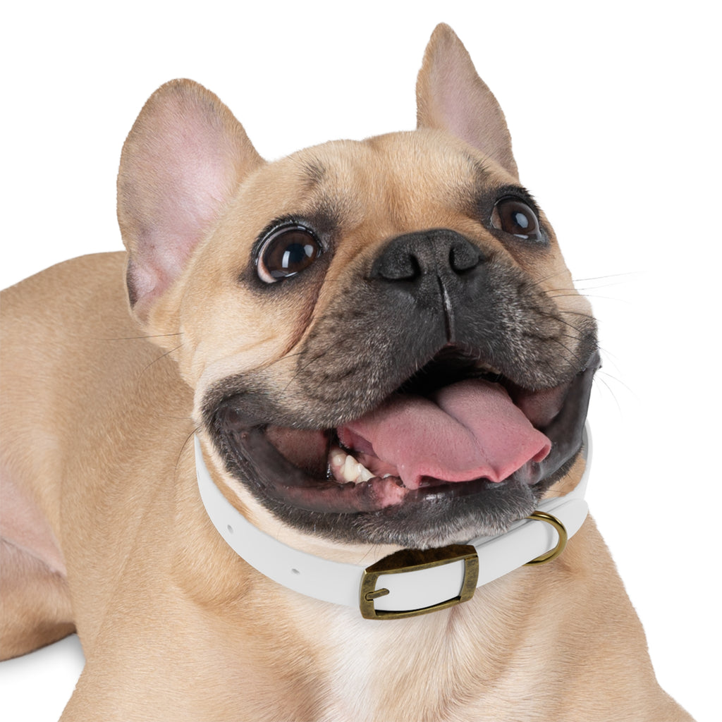 Customizable Dog Collar with Fun Design