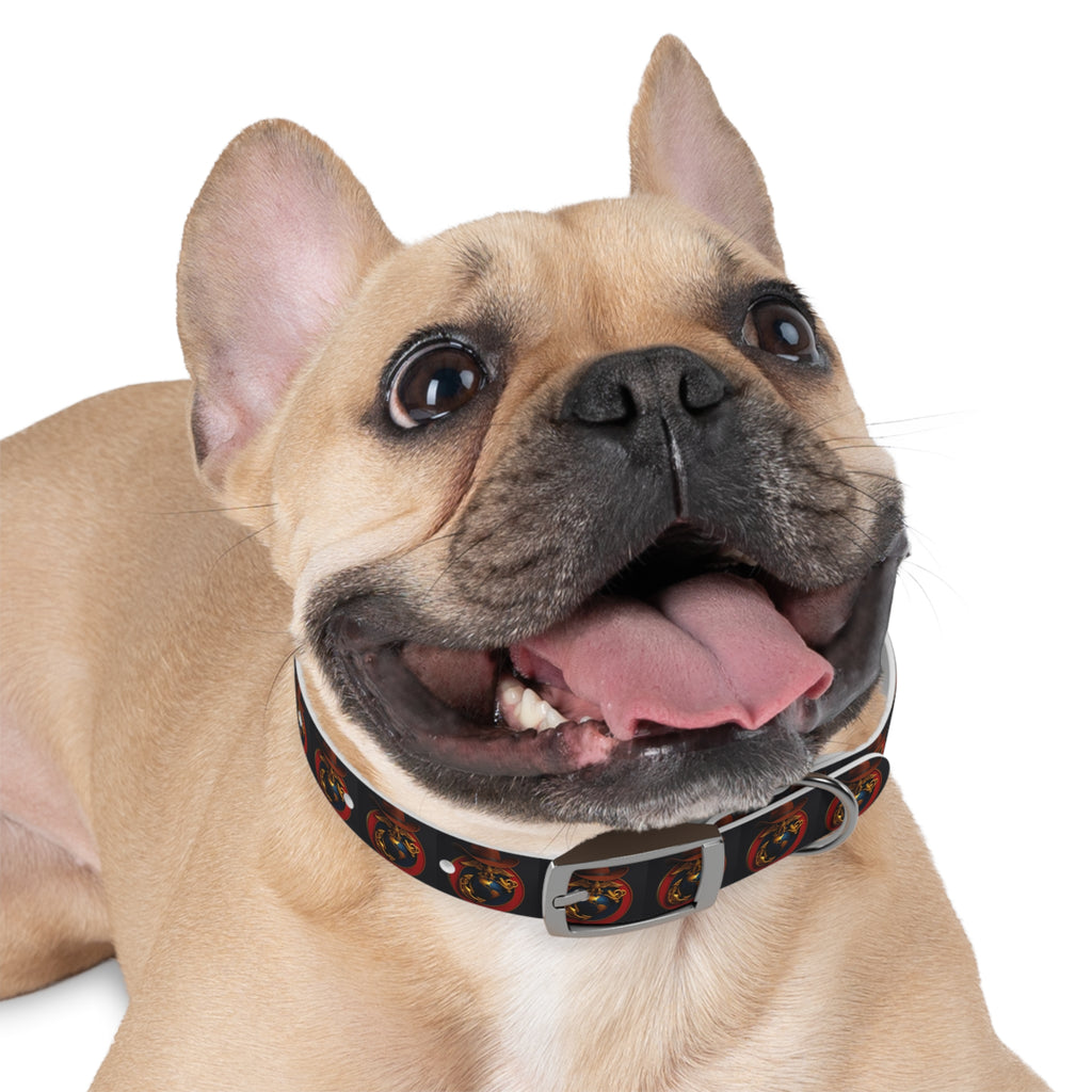 Stylish Pet Collar with Playful Design
