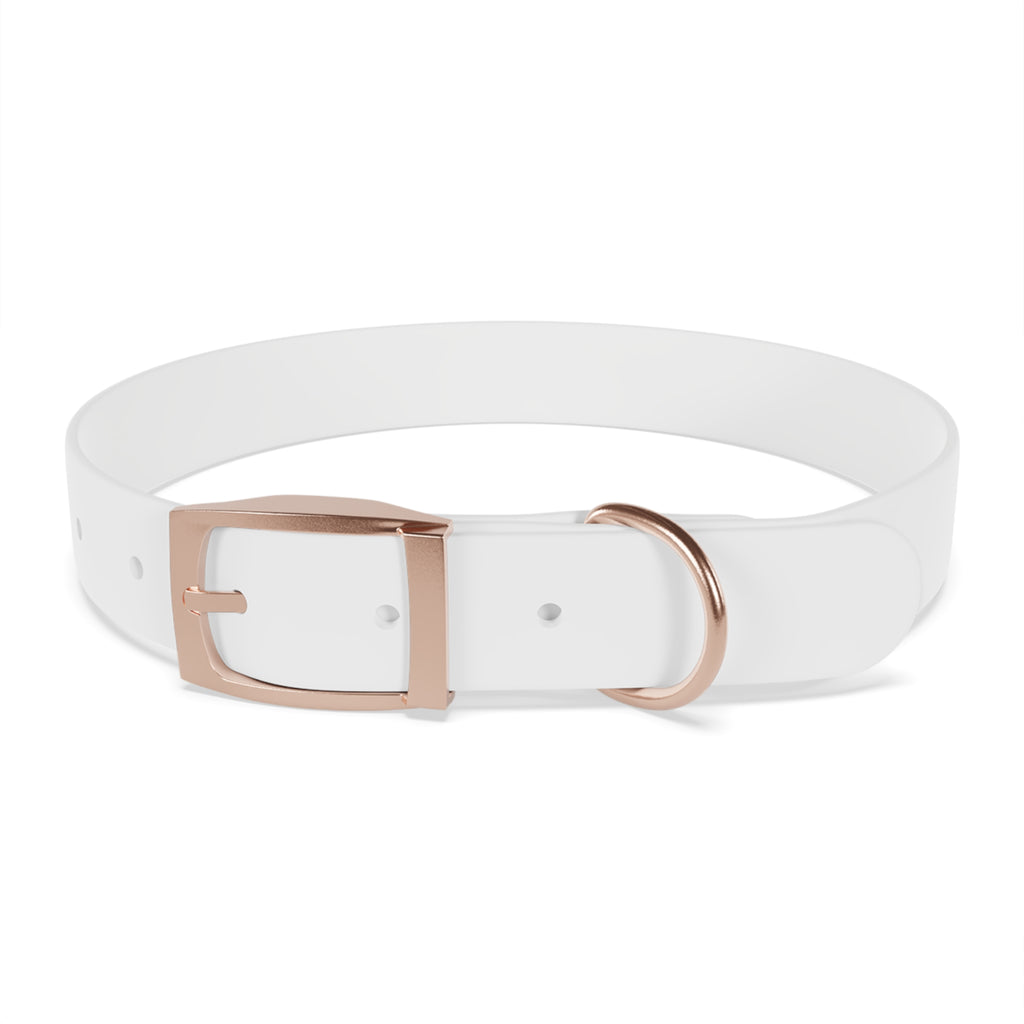 Customizable Dog Collar with Fun Design