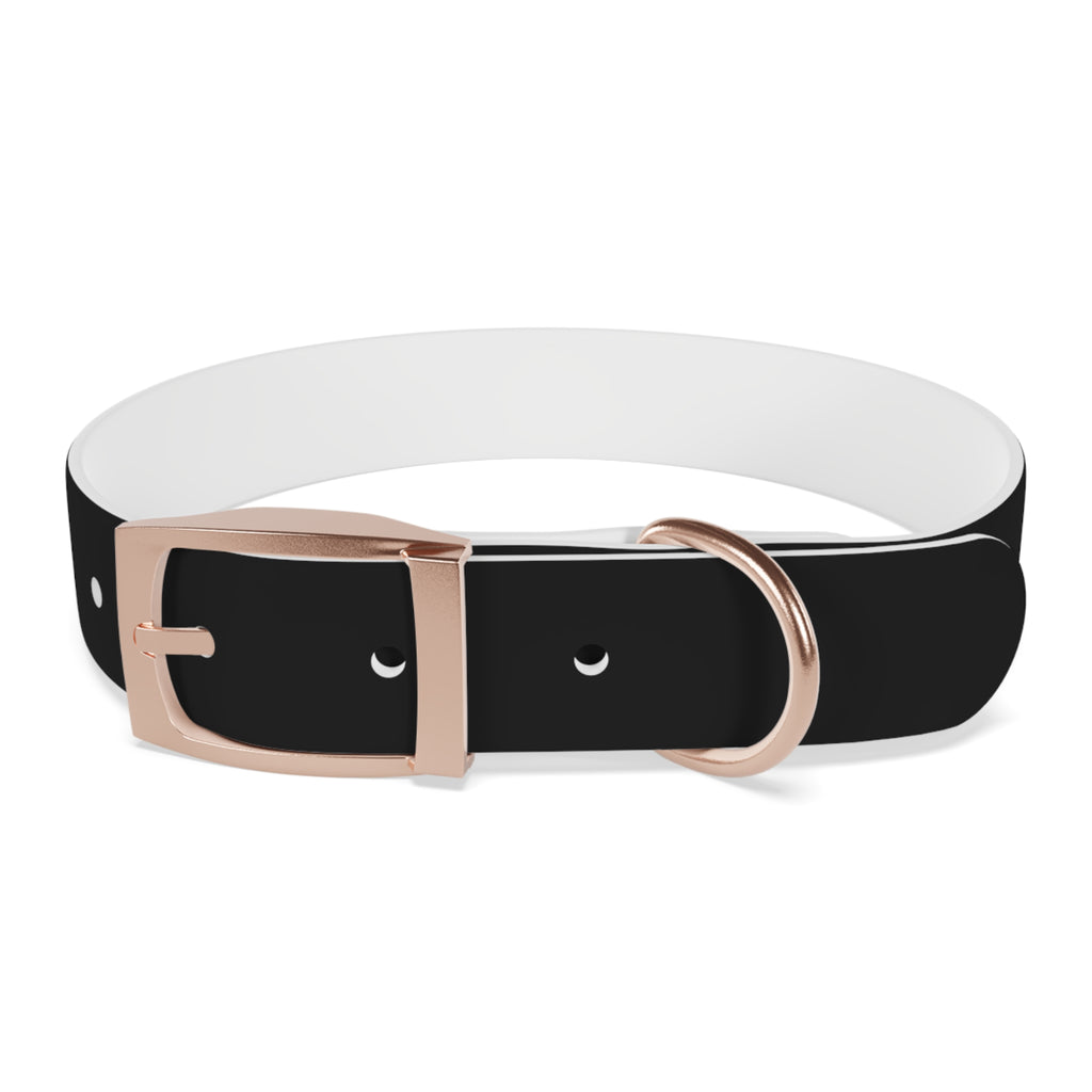 Stylish Dog Collar with Fun 'Freak' Design