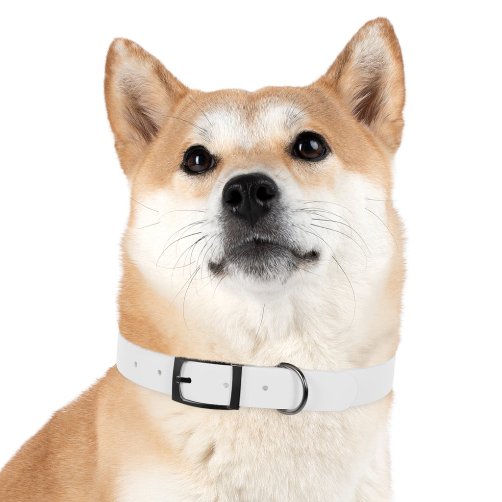 Customizable Dog Collar with Fun Design