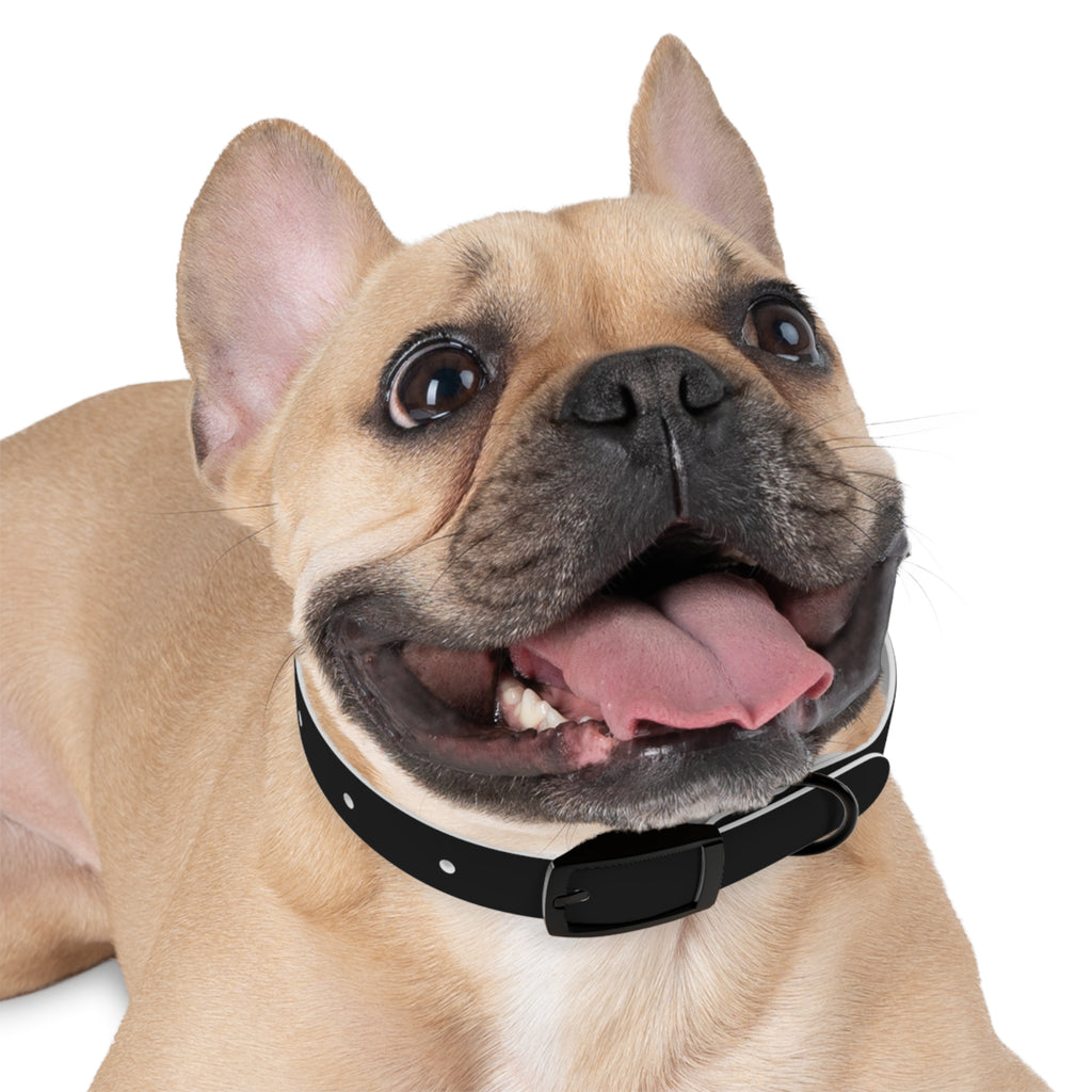 Stylish Dog Collar with Fun 'Freak' Design